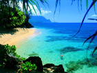 Summer wallpapers48